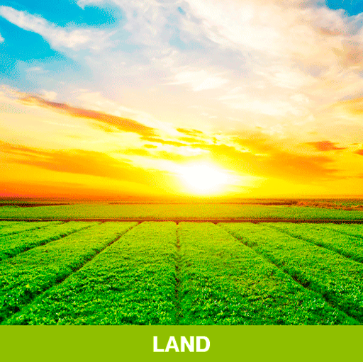 land